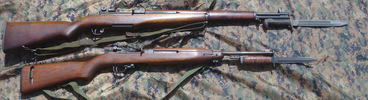 Garand and Carbine w bayonets.png