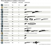 Which Republican candidates own guns.png