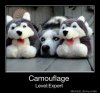 Camouflage-Level-Expert.jpg
