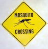 Mosquito-Crossing-photo-001.jpg