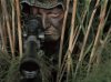 Sniper In Grass - Springfield.jpg