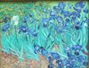 DSCF1331 Van Gogh Iris.JPG