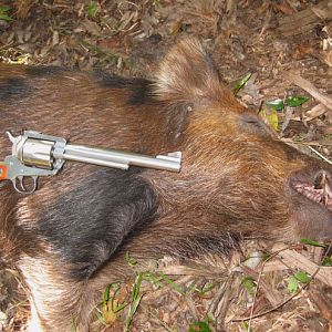 Boar With .45